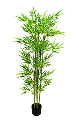 Mākslīga bambuss, 180 cm цена и информация | Искусственные цветы | 220.lv