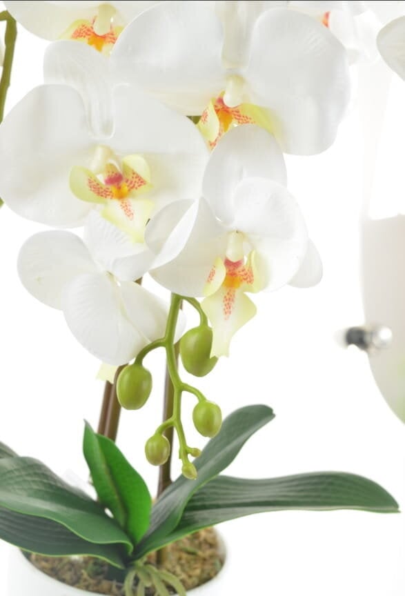 Mākslīga orhideja, 70 cm cena un informācija | Mākslīgie ziedi | 220.lv