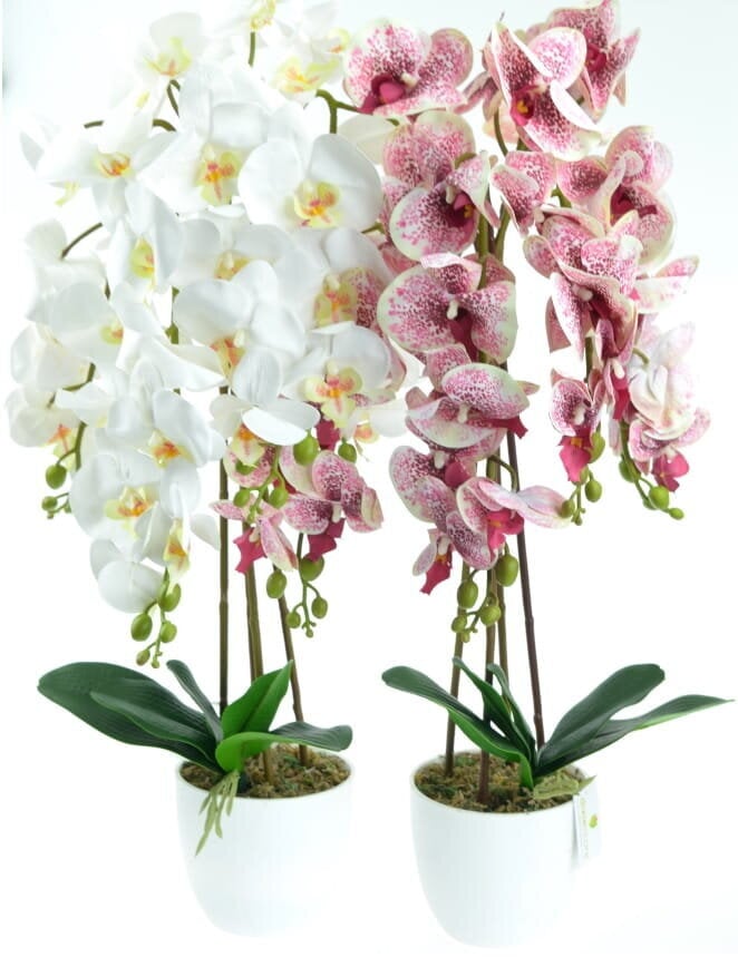 Mākslīga orhideja, 70 cm cena un informācija | Mākslīgie ziedi | 220.lv
