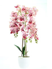Mākslīga orhideja, 70 cm цена и информация | Искусственные цветы | 220.lv