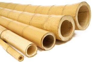 Dekoratīvais bambuss, biezs, dekoratīvs 180 cm 50/60 mm cena un informācija | Ziedu statīvi, puķu podu turētāji | 220.lv
