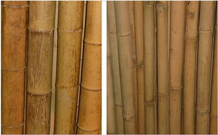 Dekoratīvais bambuss, biezs, 180 cm 80/100 mm cena un informācija | Ziedu statīvi, puķu podu turētāji | 220.lv