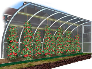 Siltumnīcu šķērsstieņi augu nostiprināšanai, 8 m цена и информация | Теплицы | 220.lv