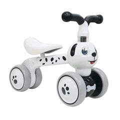 Līdzsvara velosipēds Ecotoys, balts цена и информация | Балансировочные велосипеды | 220.lv