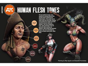 Akrila krāsu komplekts AK Interactive 3rd generation Human Flesh tones, AK11603 cena un informācija | Modelēšanas un zīmēšanas piederumi | 220.lv