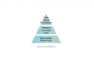 Аромат для дома (дополнение) Maison Berger Zest of Verbena, 500 мл цена и информация | Ароматы для дома | 220.lv