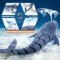 Baseina rotaļlieta Shark cena un informācija | Ūdens, smilšu un pludmales rotaļlietas | 220.lv