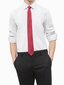 Calvin Klein kaklasaite vīriešiem, rozā цена и информация | Kaklasaites, tauriņi | 220.lv