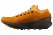 Sporta apavi vīriešiem Salomon 417269 27, brūni cena un informācija | Sporta apavi vīriešiem | 220.lv