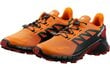 Sporta apavi vīriešiem Salomon 471193 26, oranža цена и информация | Sporta apavi vīriešiem | 220.lv