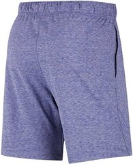 Šorti vīriešiem Nike AT5693-455, violeti цена и информация | Мужские шорты | 220.lv
