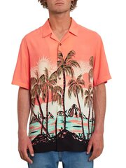 T-krekls vīriešiem Volcom A0412200, dažādas krāsas цена и информация | Мужские рубашки | 220.lv
