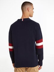 Tommy Hilfiger džemperis vīriešiem MW0MW29026 DW5, zils цена и информация | Мужские толстовки | 220.lv