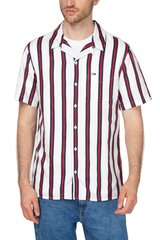Tommy Hilfiger T-krekls vīriešiem DM0DM07900 0FO, dažādas krāsas цена и информация | Мужские рубашки | 220.lv