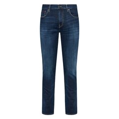 Мужские джинсы Tommy Jeans 8720115896122, синие цена и информация | Мужские джинсы | 220.lv