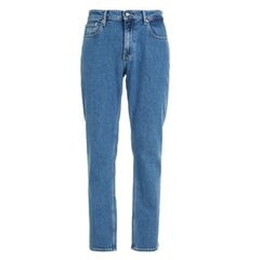 Мужские джинсы Tommy Jeans 8720642246766, синий цена и информация | Мужские джинсы | 220.lv