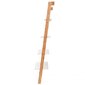 Moderns kāpņu plaukts, ModenHome, 161 cm. цена и информация | Plaukti | 220.lv