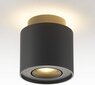Budbuddy griestu gaismas prožektors cena un informācija | Griestu lampas | 220.lv