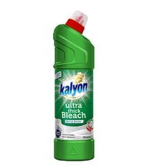 KALYON WC Чистящее средство для туалета 750ml SPRING BREEZ/ 2 шт. цена и информация | Чистящие средства | 220.lv