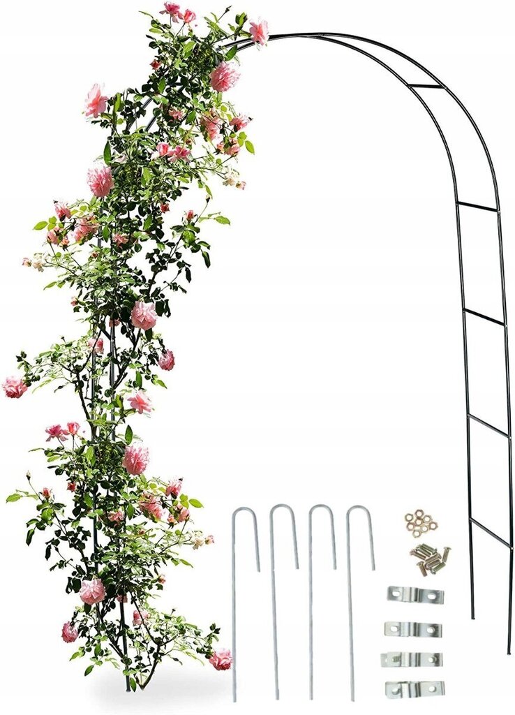 GardenLine ziedu arka, 240 cm цена и информация | Ziedu statīvi, puķu podu turētāji | 220.lv