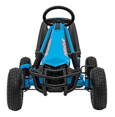 Pedāļu kartings Gokarts, zils, 105x59x56cm цена и информация | Конструктор автомобилей игрушки для мальчиков | 220.lv