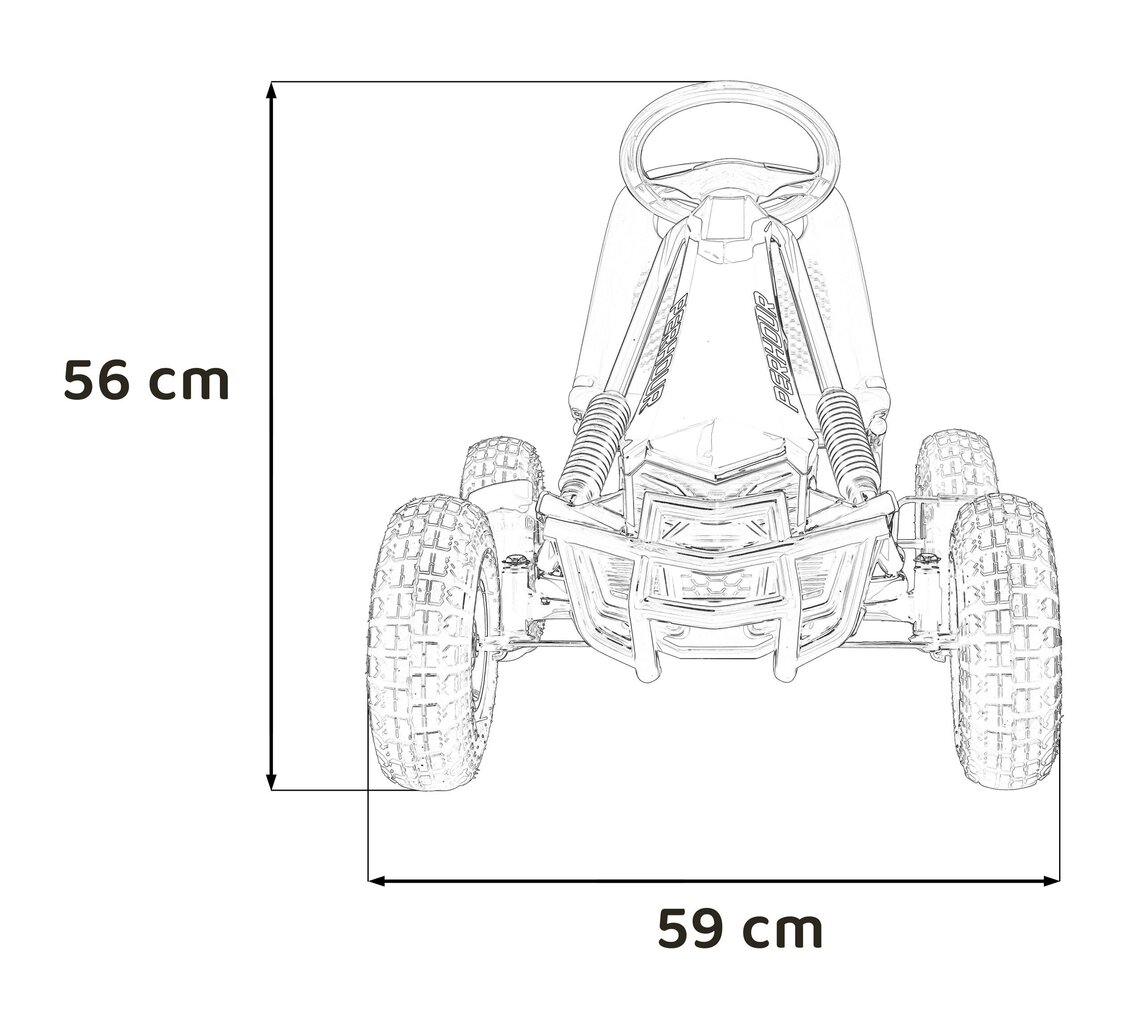 Pedāļu kartings Gokarts, rozā, 105x59x56cm цена и информация | Rotaļlietas zēniem | 220.lv