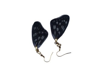 Серьги крылья бабочки в смоле ear4fly цена и информация | Серьги | 220.lv