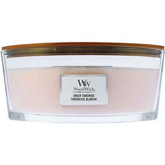 WoodWick aromātiskā svece Ellipse Sheer Tuberose 453,6 g cena un informācija | Sveces un svečturi | 220.lv