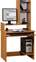 Письменный стол Olcha Medium Max, коричневый цена и информация | Компьютерные, письменные столы | 220.lv