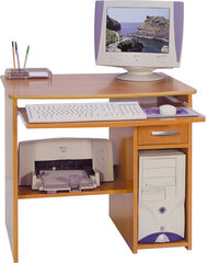 Письменный стол Olcha Medium, коричневый цена и информация | Компьютерные, письменные столы | 220.lv