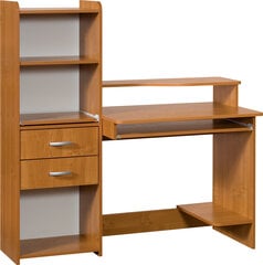 Письменный стол Olcha Kuba, коричневый цена и информация | Компьютерные, письменные столы | 220.lv