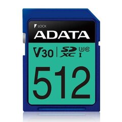 Adata ASDX512GUI3V30S-R цена и информация | Карты памяти для мобильных телефонов | 220.lv