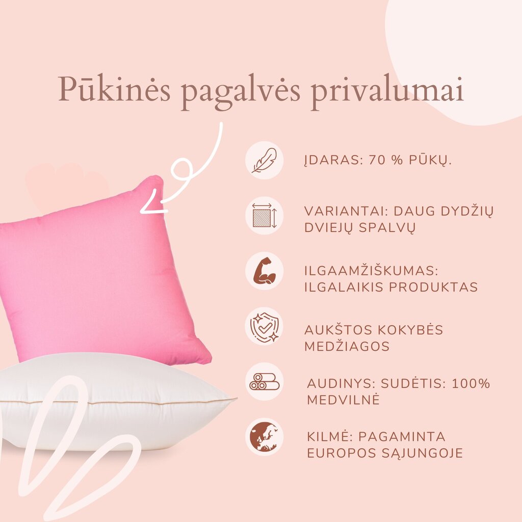 Premium spilvens, 50x50 cm, balts cena un informācija | Spilveni | 220.lv