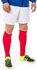 Футбольные носки Select Getry, 42-47, красный цвет цена и информация | Футбольная форма и другие товары | 220.lv