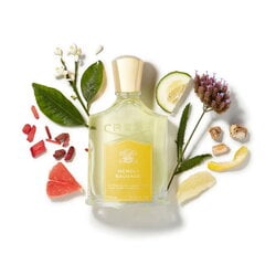 Smaržūdens Creed Neroli Sauvage EDP vīriešiem, 100 ml cena un informācija | Vīriešu smaržas | 220.lv