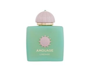 Amouage Lineage eau de parfum для мужчин 100 мл цена и информация | Мужские духи | 220.lv