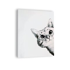 Картина по номерам Winder Arts "Любопытный кот,  на белом фоне", 40х50см цена и информация | Живопись по номерам | 220.lv