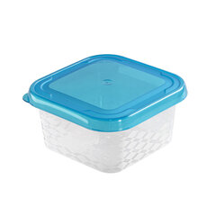 квадратная коробка для продуктов 9,5x9,5см 0,25л цена и информация | Посуда для хранения еды | 220.lv