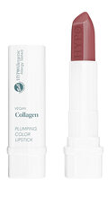 Губная помада VEGAN COLLAGEN Plumping Color Lipstick 01 Choco цена и информация | Помады, бальзамы, блеск для губ | 220.lv