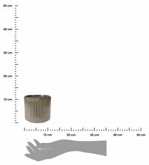 [s_product_name_ru] цена и информация | Ящики для рассады | 220.lv