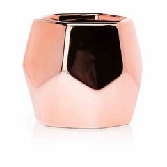 Puķu pods Daisi Rose Gold, 9x9x8 cm cena un informācija | Puķu podi | 220.lv