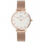 Pulkstenis sievietēm Daniel Wellington, Rose Gold, 32 mm cena un informācija | Sieviešu pulksteņi | 220.lv