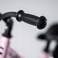 Līdzsvara velosipēds Cariboo Magnesium Pro 12, rozā цена и информация | Балансировочные велосипеды | 220.lv