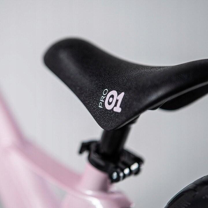 Līdzsvara velosipēds Cariboo Magnesium Pro 12, rozā cena un informācija | Balansa velosipēdi | 220.lv