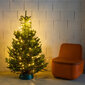 Ziemassvētku eglīšu spuldzītes, 480 rezultātā цена и информация | Ziemassvētku lampiņas, LED virtenes | 220.lv