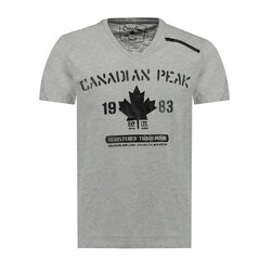 Мужская футболка Canadian Peak, серая цена и информация | Мужские футболки | 220.lv
