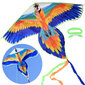 Pūķis Papagailis, 160 x 115 x 40 cm цена и информация | Gaisa pūķi | 220.lv