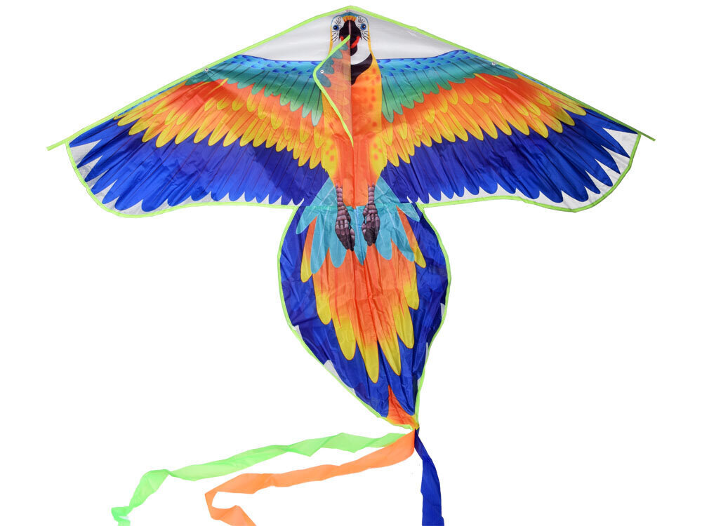 Pūķis Papagailis, 160 x 115 x 40 cm cena un informācija | Gaisa pūķi | 220.lv