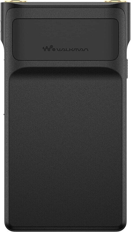 Sony NW-WM1AM2 Walkman цена и информация | MP3 atskaņotāji | 220.lv