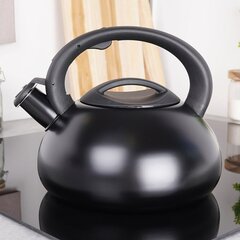 чайник из черной стали со свистком - vilde, 3 л цена и информация | Чайники, кофейники | 220.lv